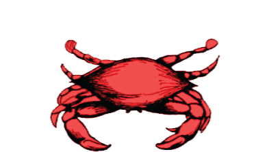 Crabs Claw Inn